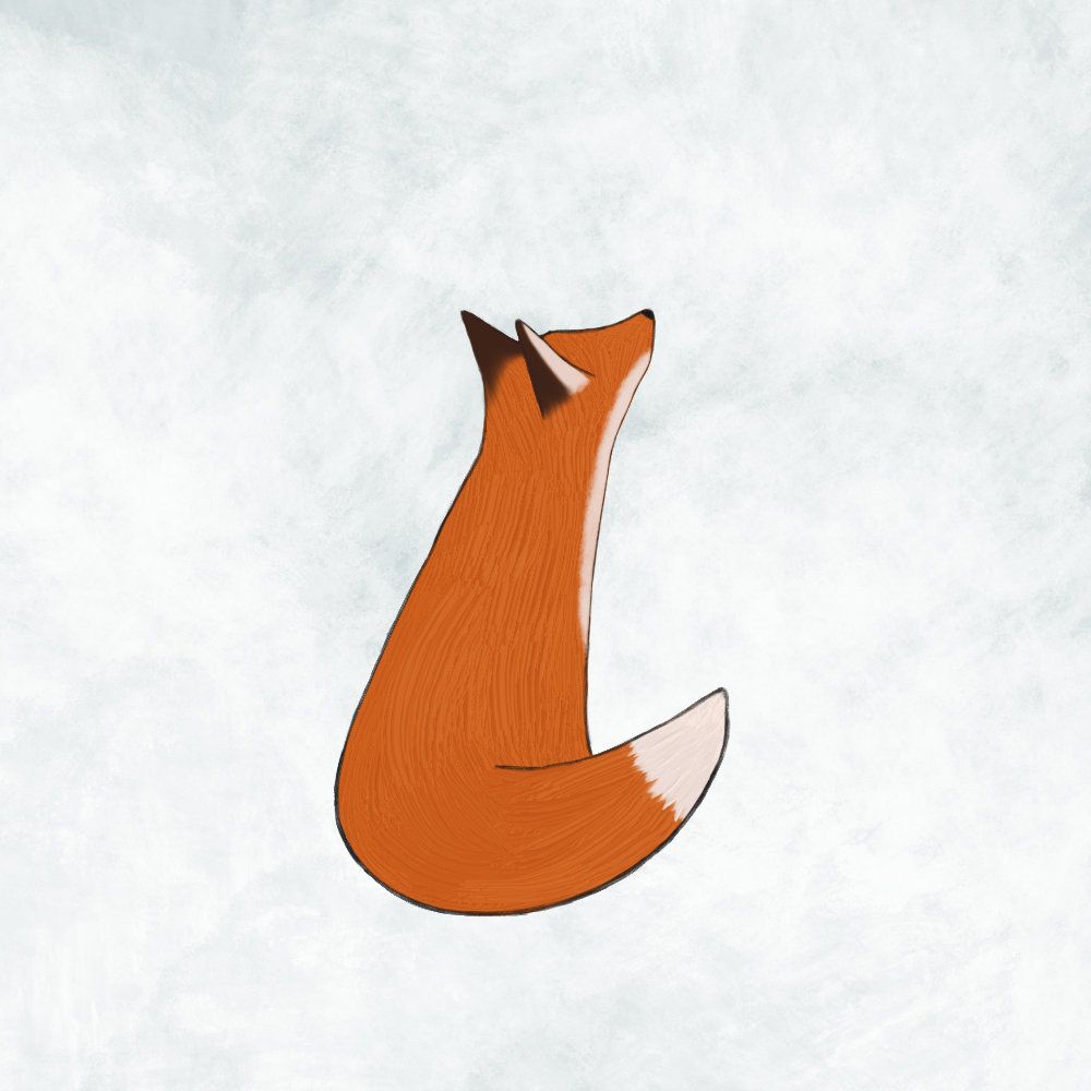 a boy named fox
