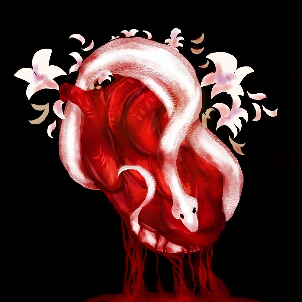 🫀 : c𖹭eur𓈒ꜝꜝ
