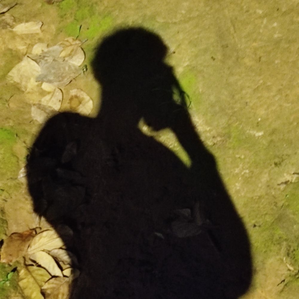 Zv'-'