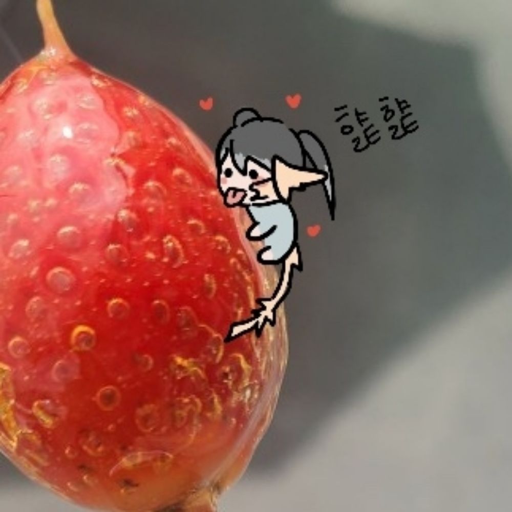 드래곤과