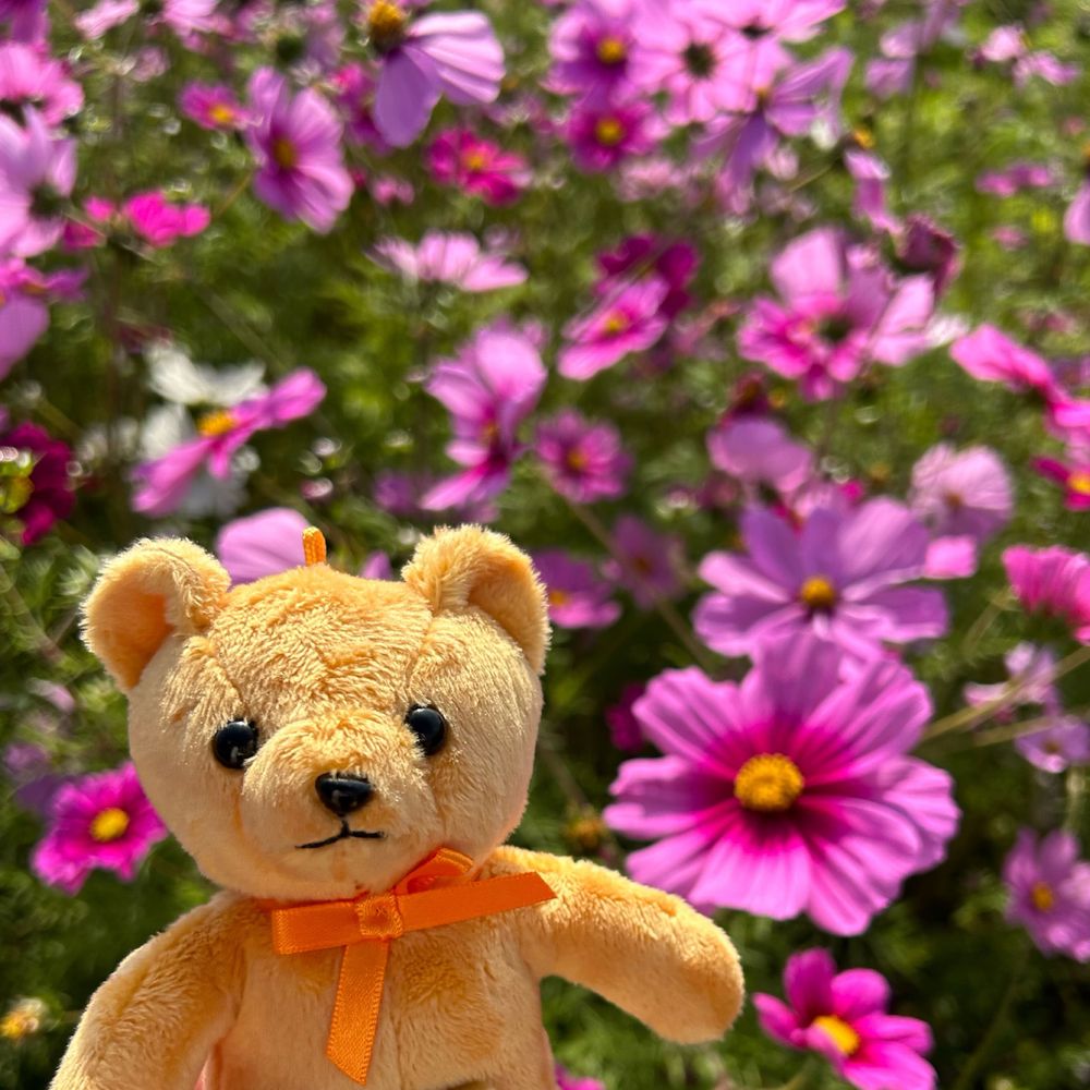 のっぽくん