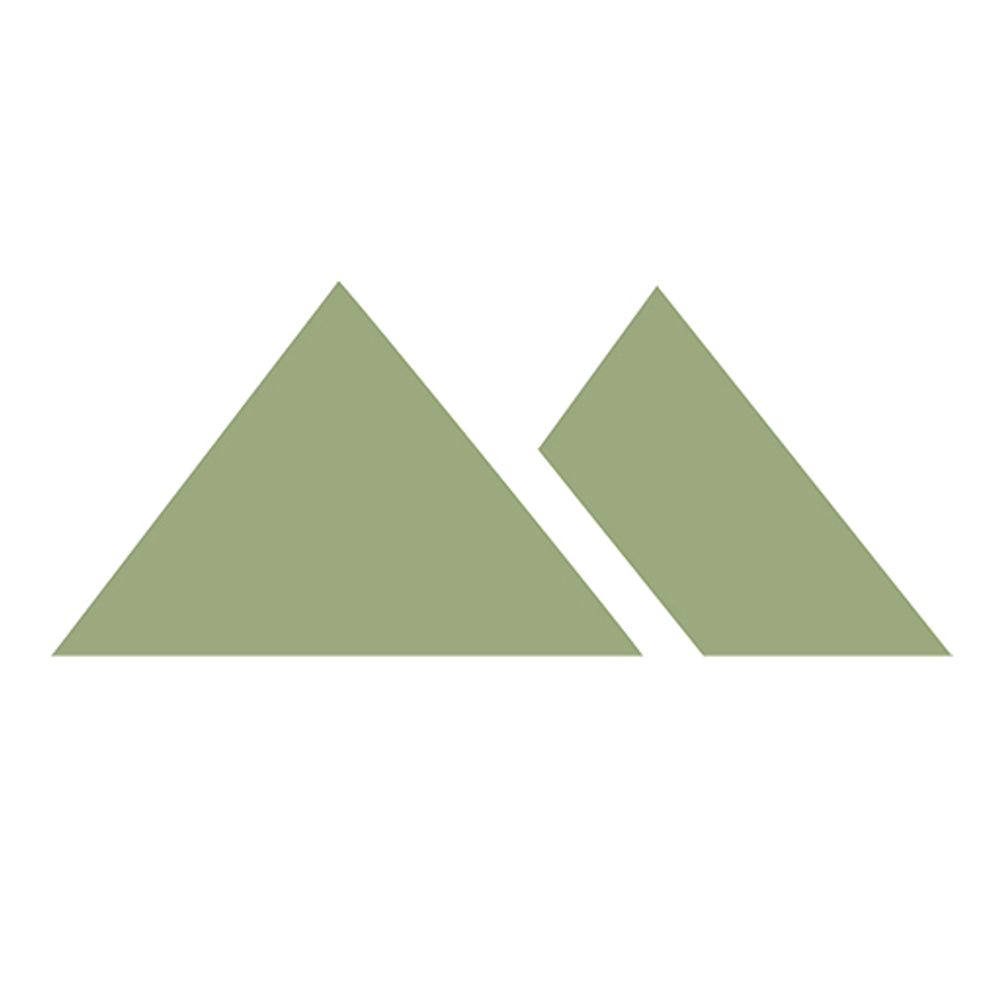 University of Nevada Press