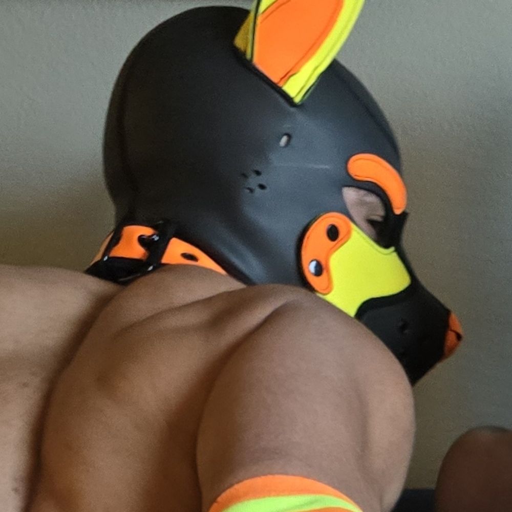 Porta Puppy Guil 🔜 FWA, SF Pride, DORE