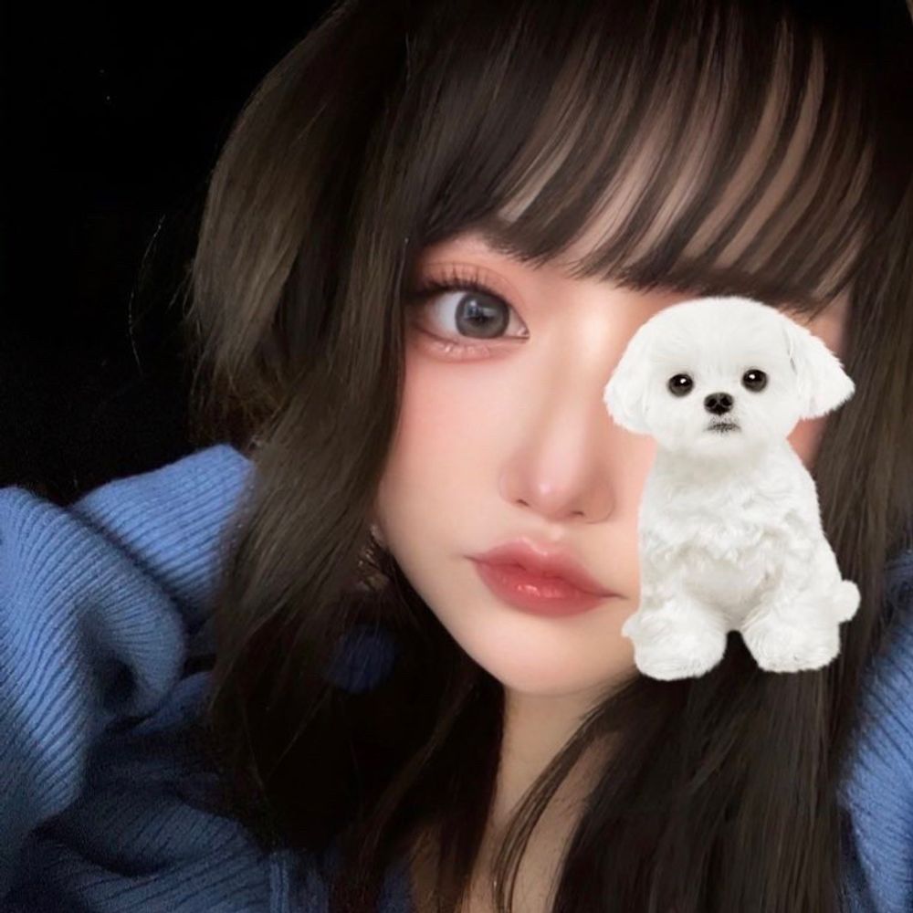 ちわわちゃん🐶🧋