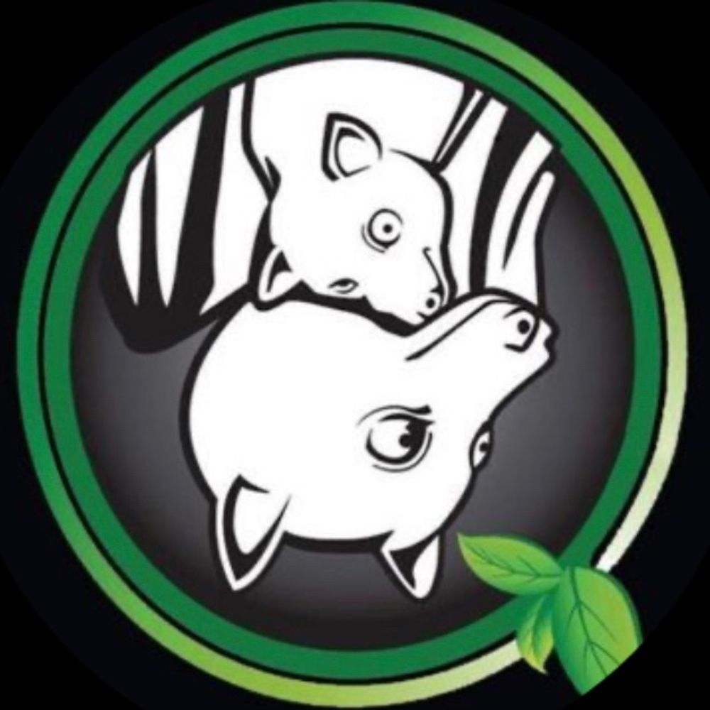 Bat Conservation and Rescue Qld