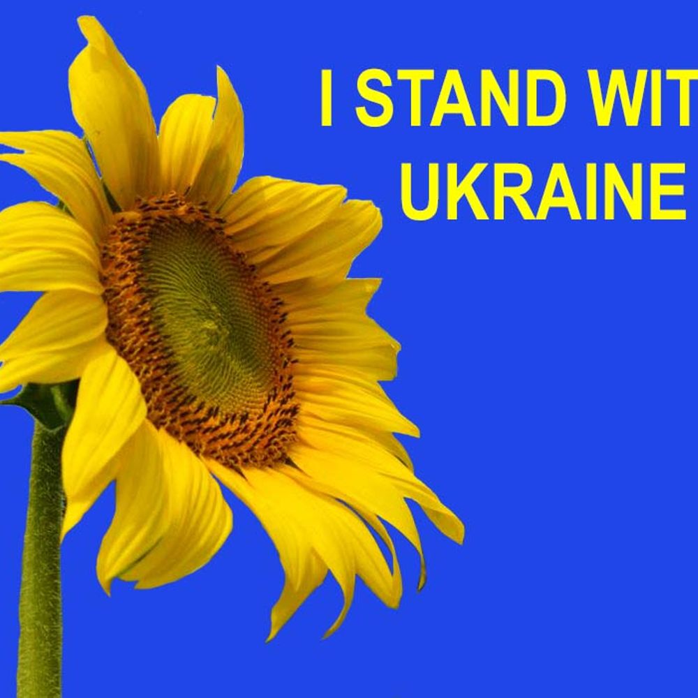 ps-sara.bsky.social profile picture