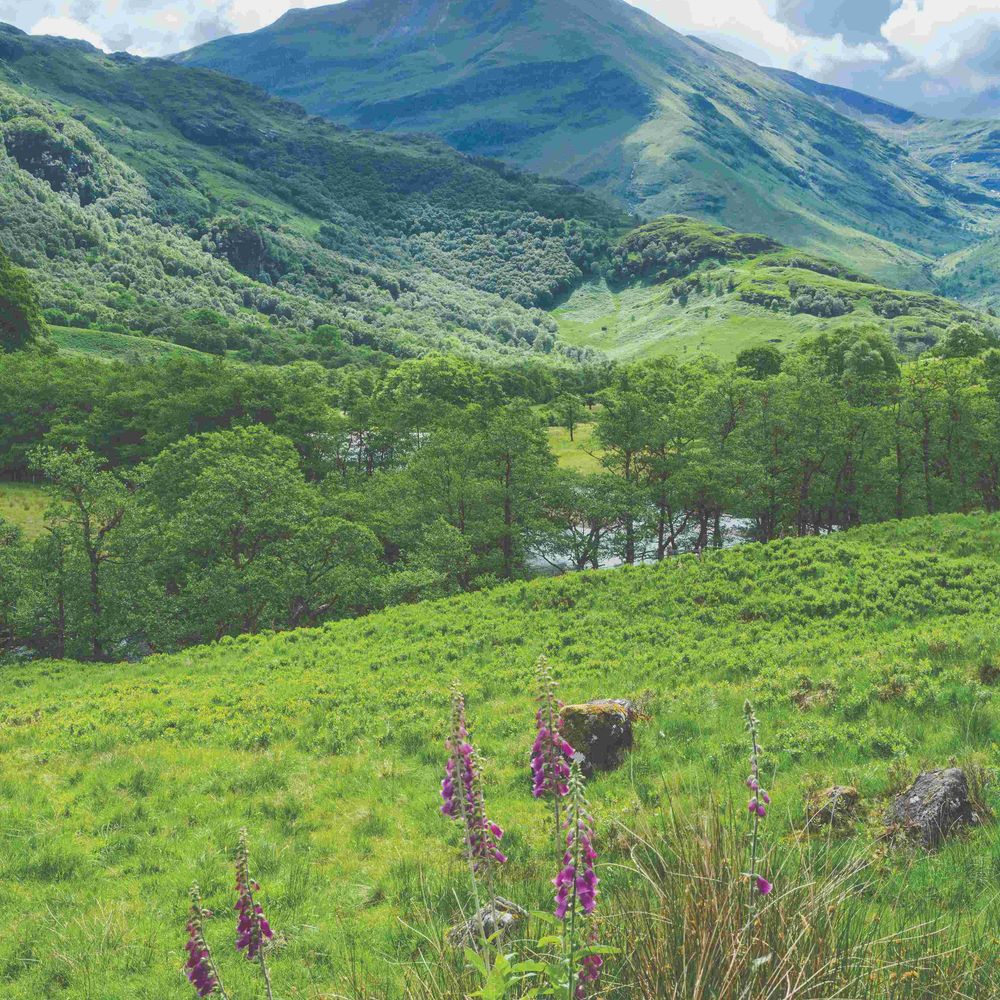 Centre for Mountain Studies