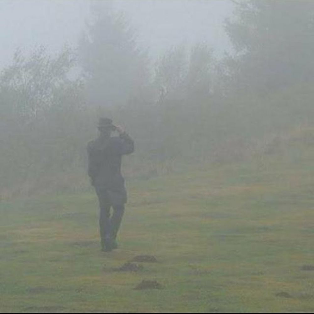 Nebel
