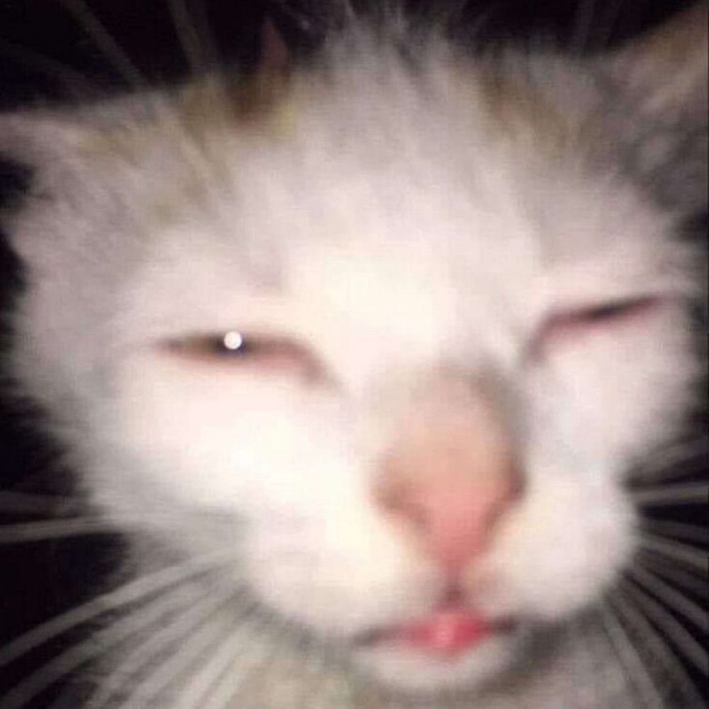 Eggg toast
