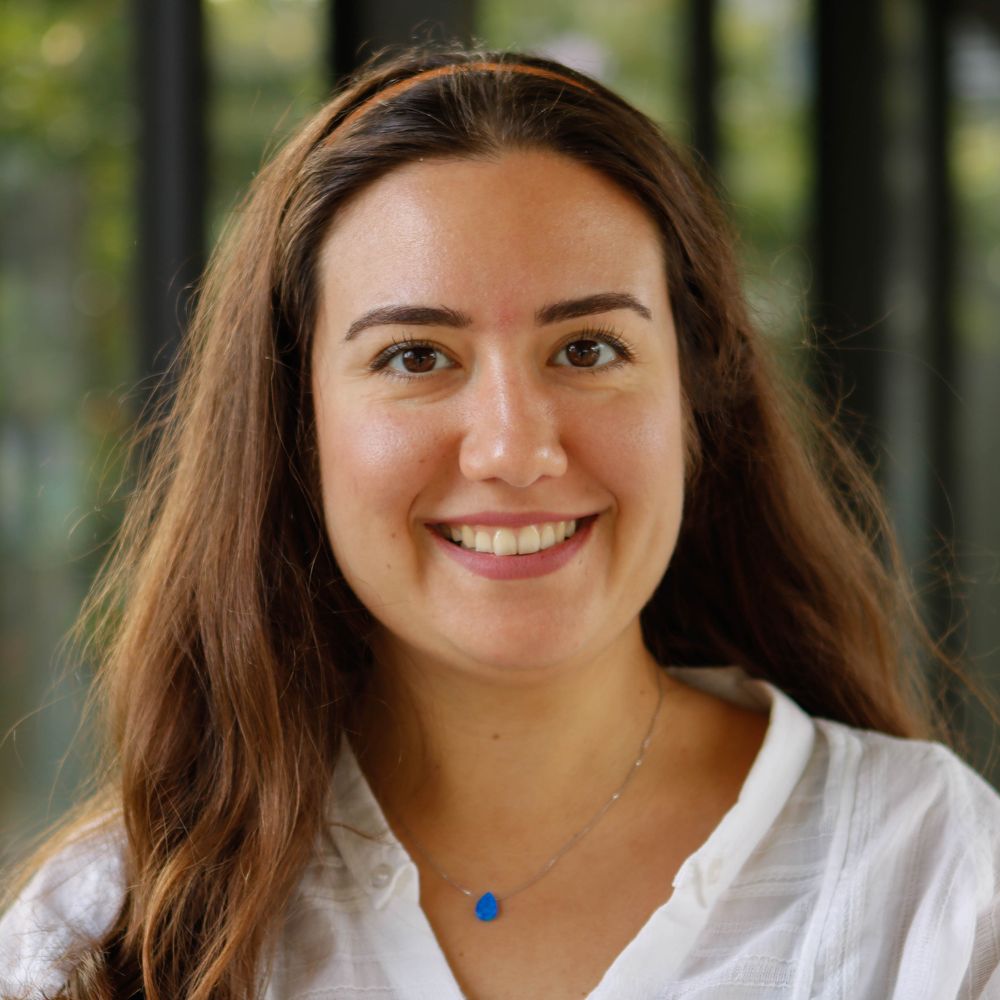 Dilay Z. KARADÖLLER
