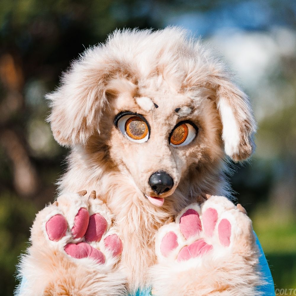 Shaun 🐕🗣️