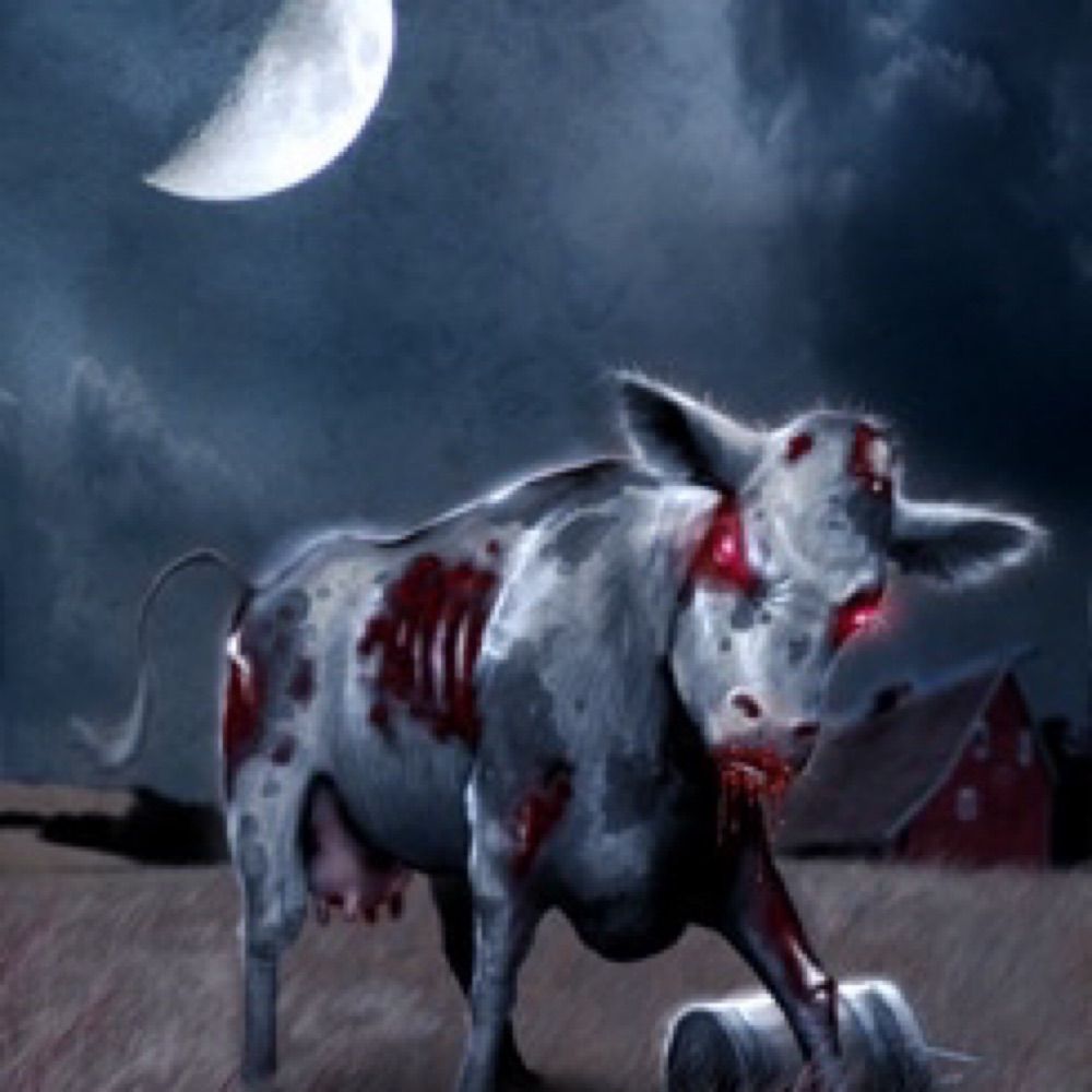 Killercow