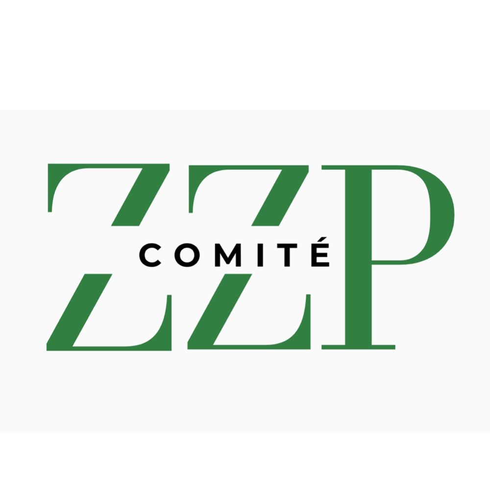 Comité zzp