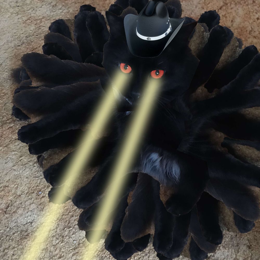 Fortune Salem