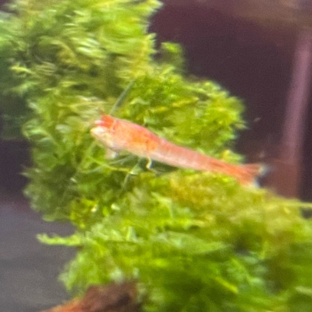 まる