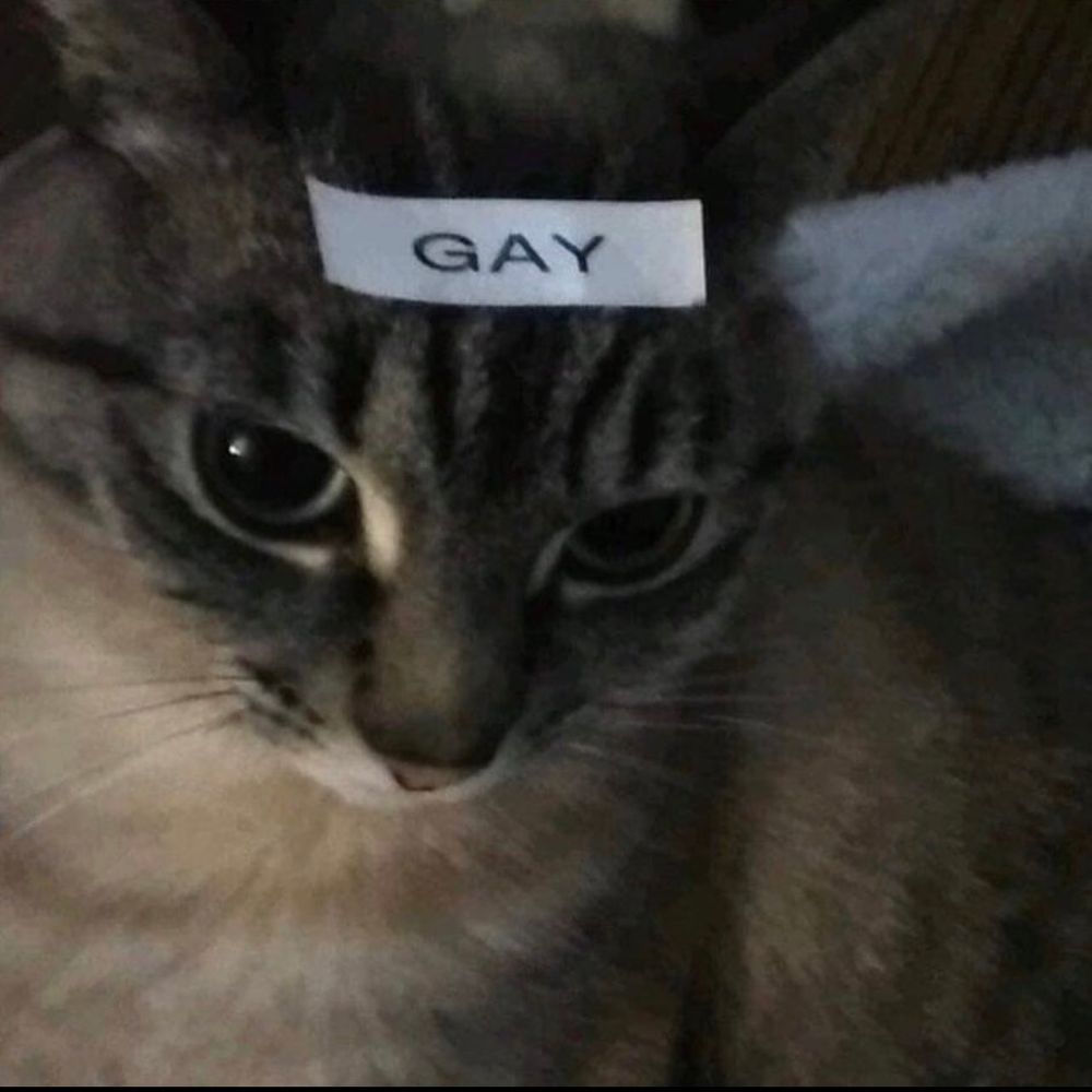 User avatar