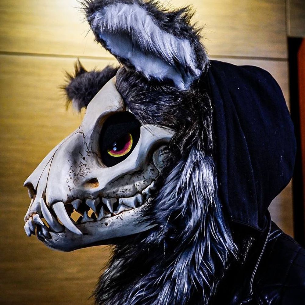 Zeph_Rotting