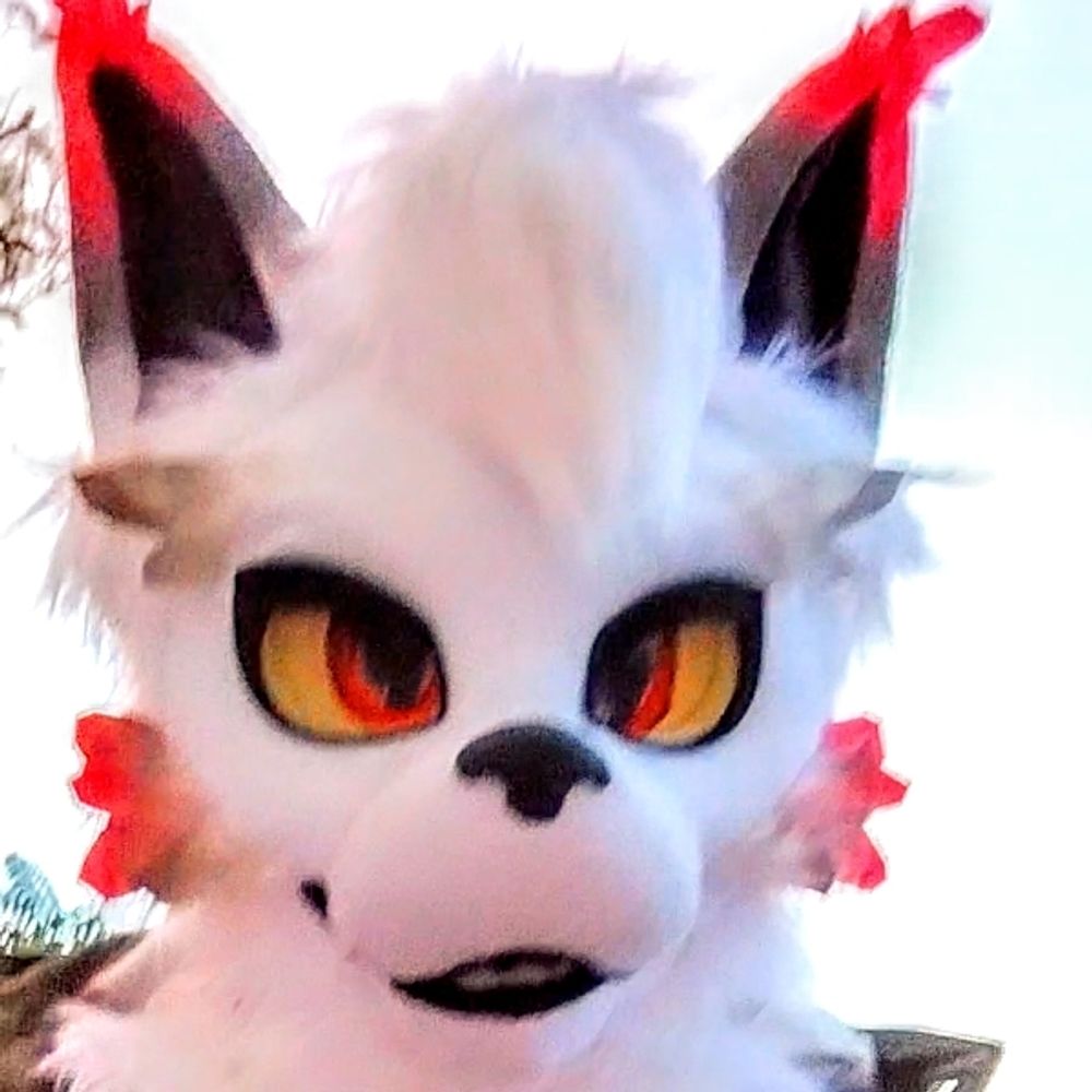 Kanyon Coyote
