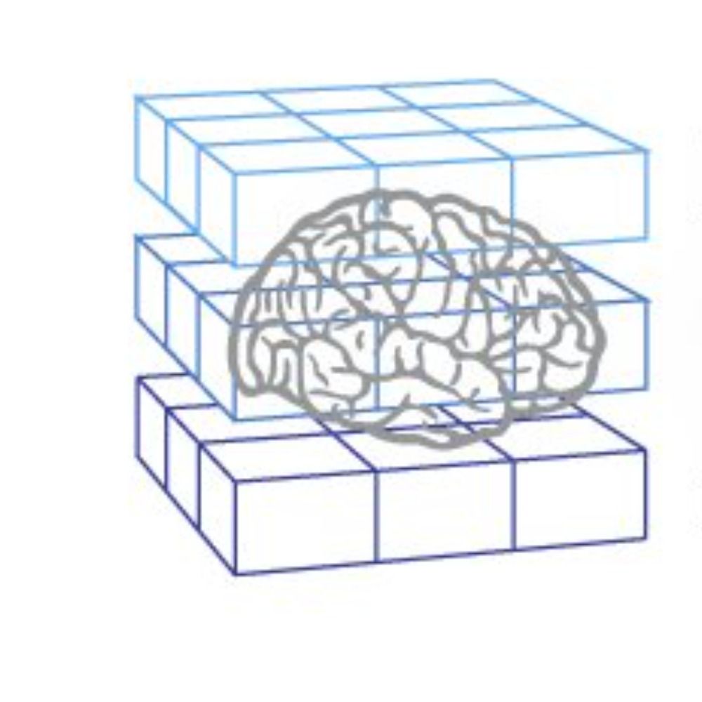 Society for Neuroeconomics