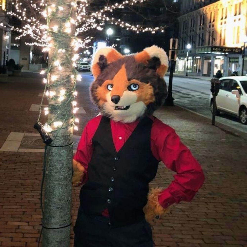 Anuolf Raccoon