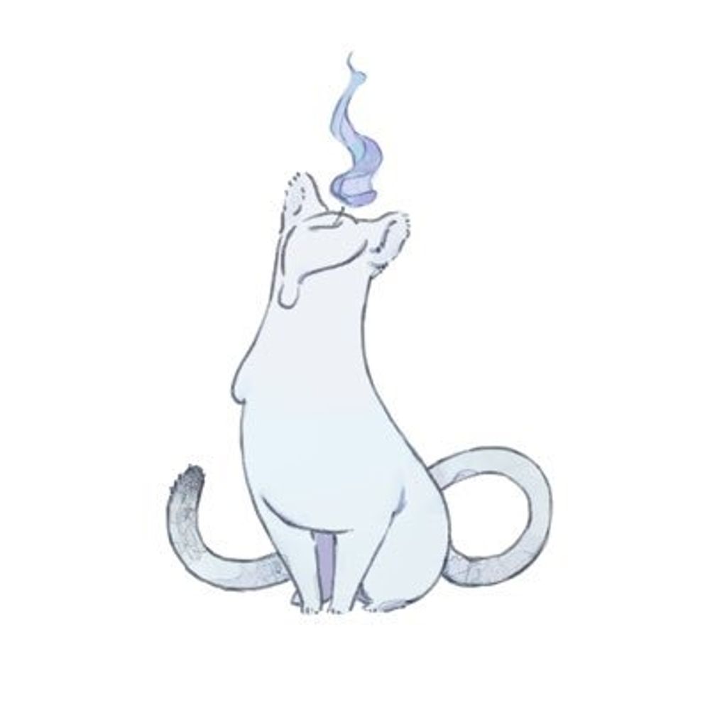 星蝋燭