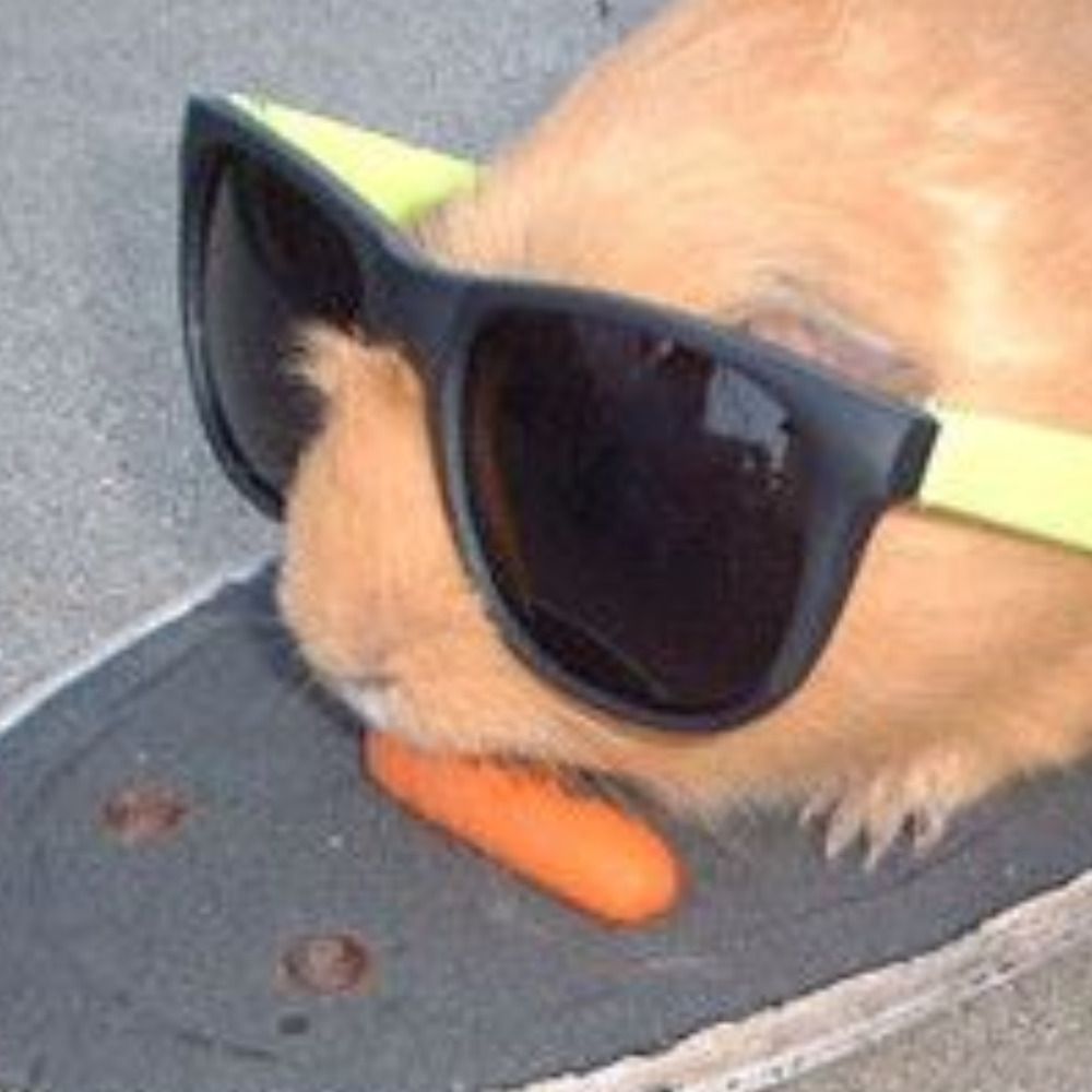 NynaSunner