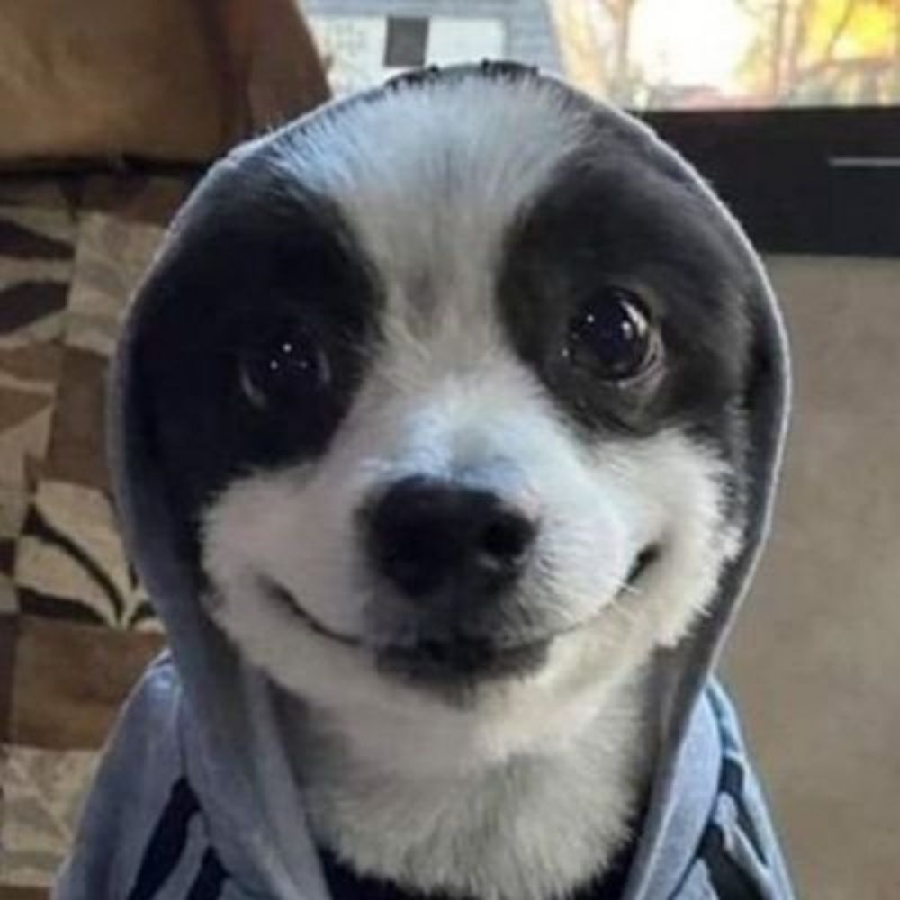 영하