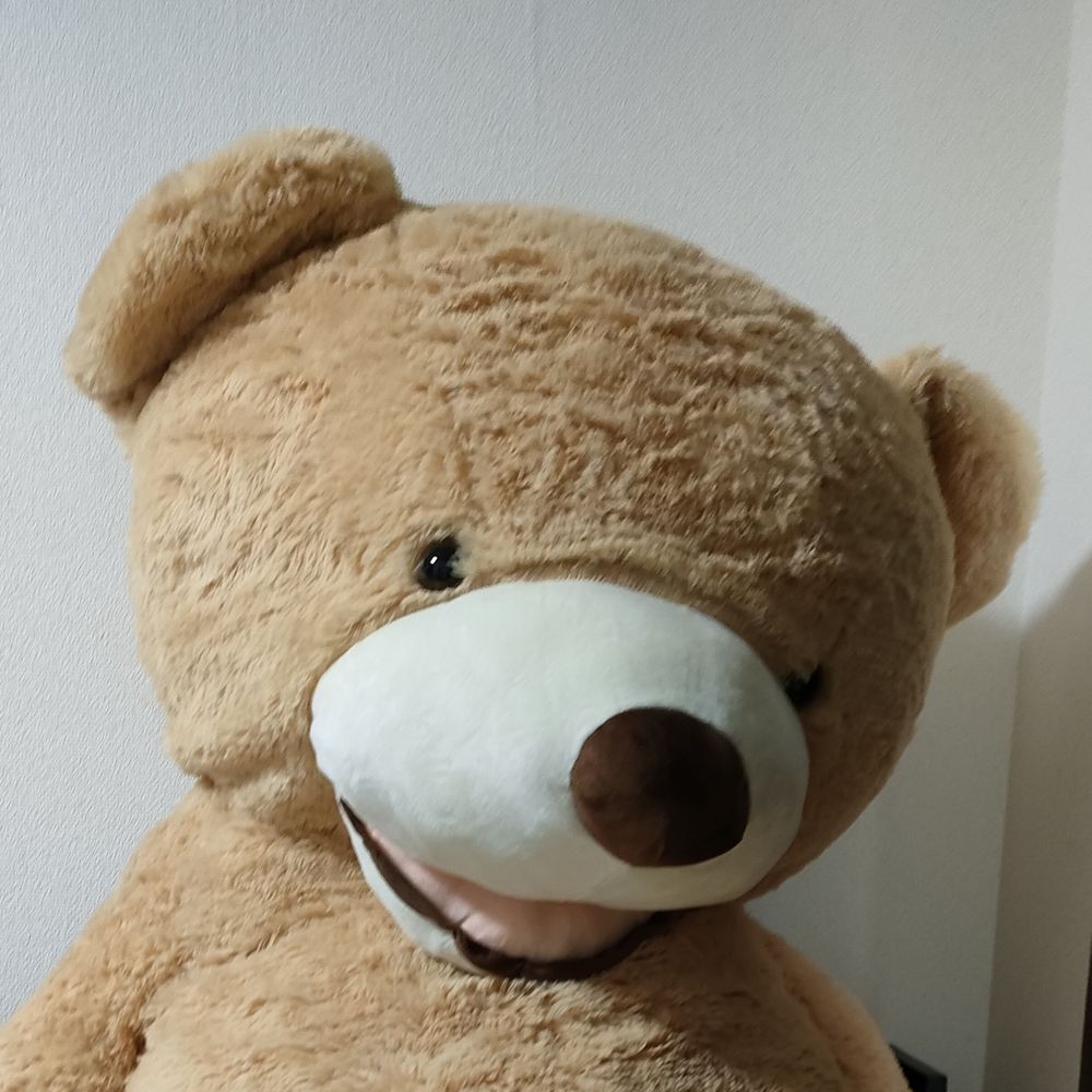 しし