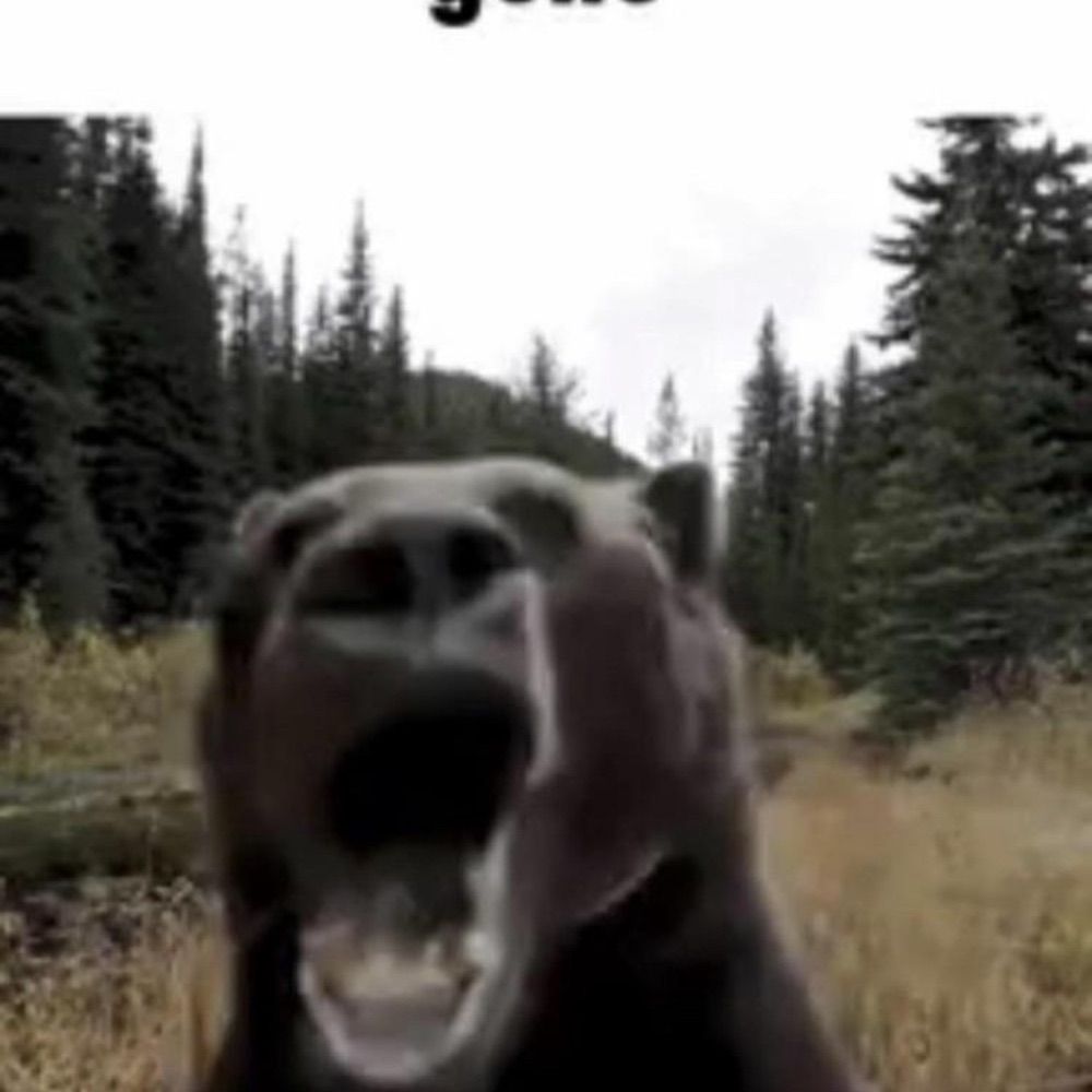 Debil