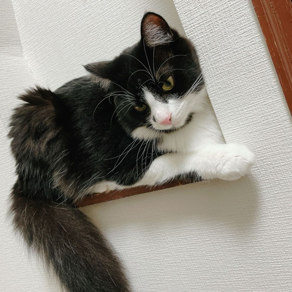 よぞ