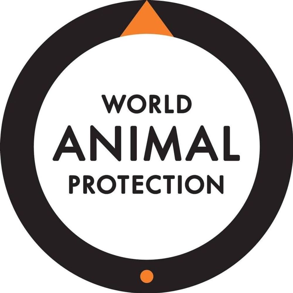 World Animal Protection UK