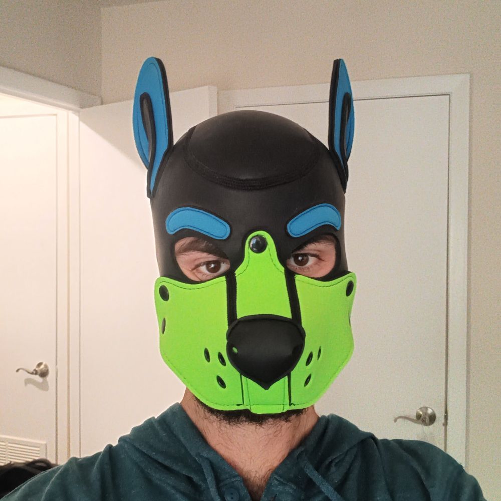 DragonpupJax