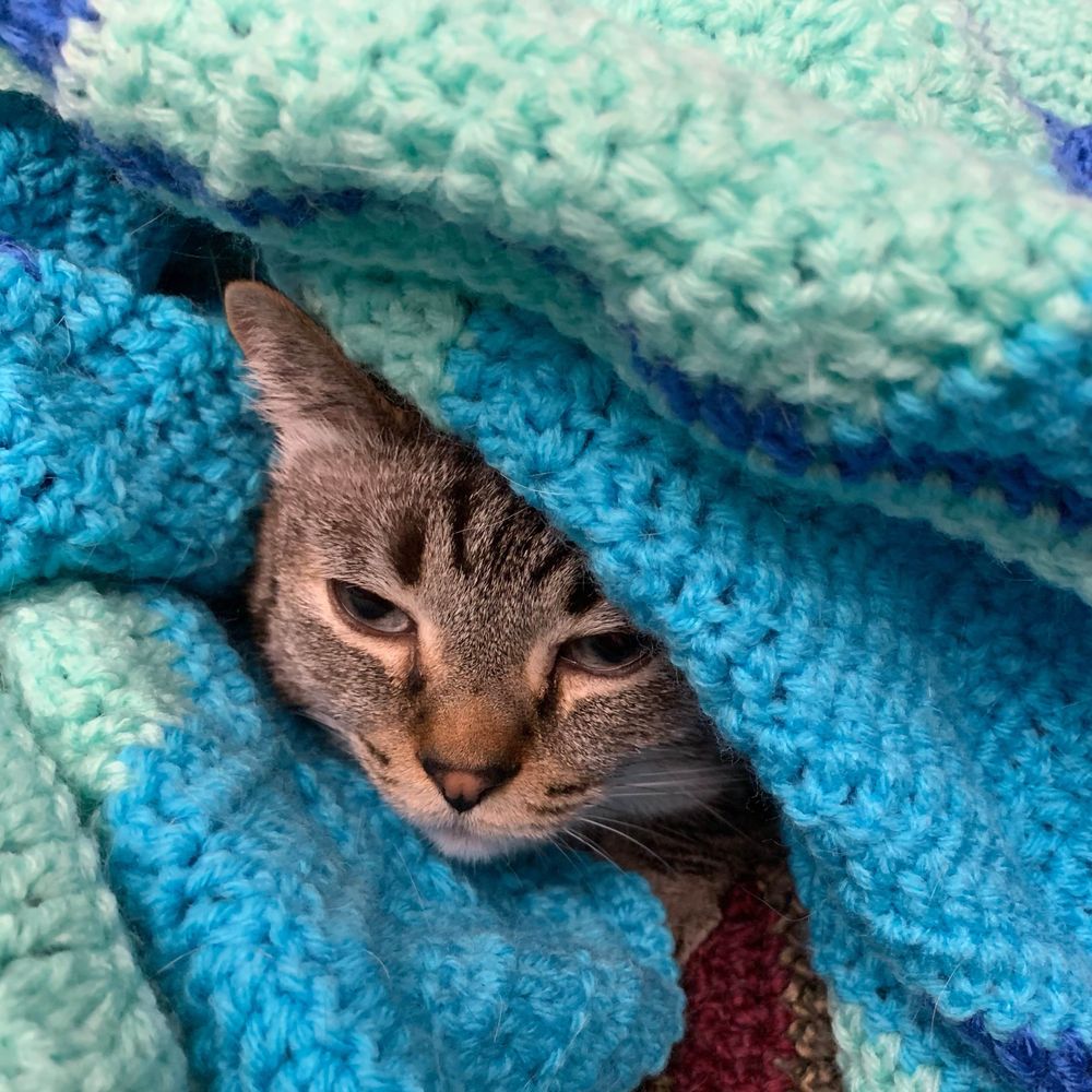 outlikeatrout