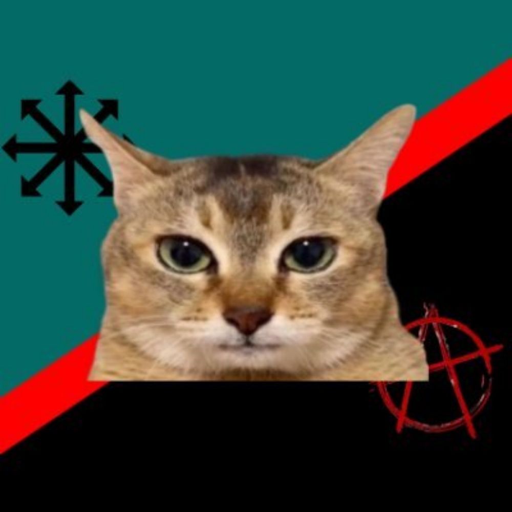 Xenocat