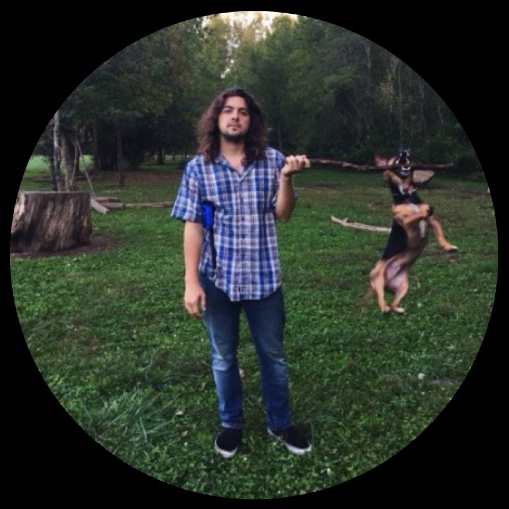 Tyler Stabile