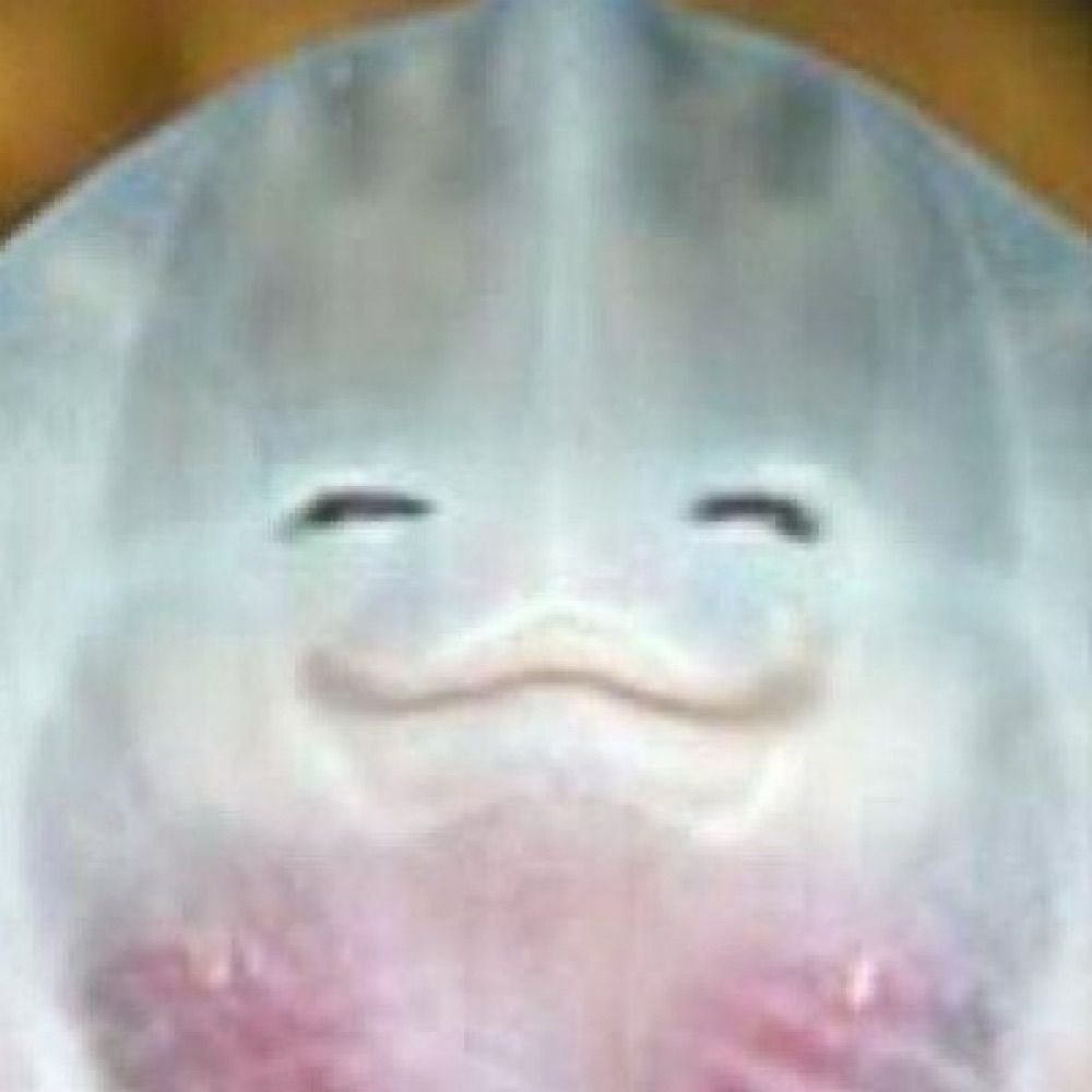 히읗