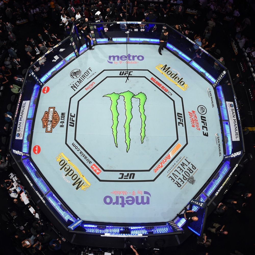 The Octagon Obsessed