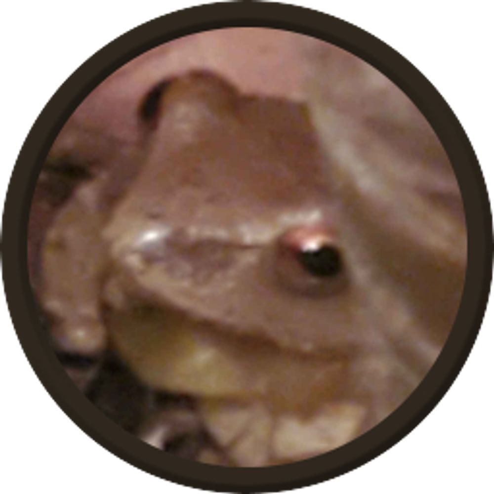 Nakk
