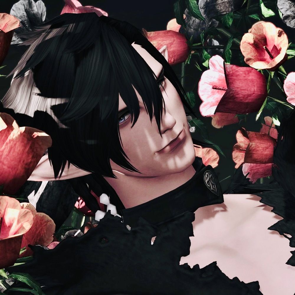 🌱Alastor￤ifrit ≠ Fさん