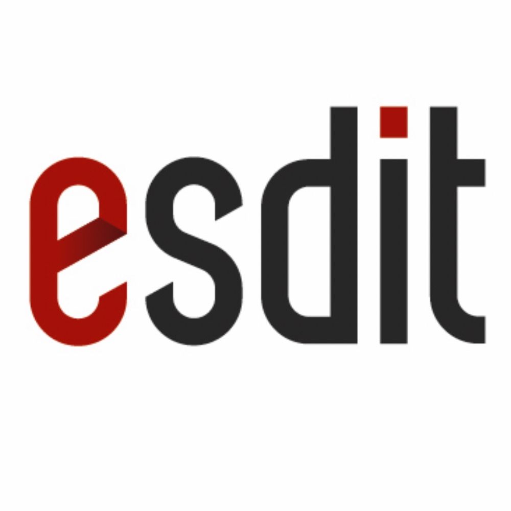 ESDiT Research Programme.bsky.social