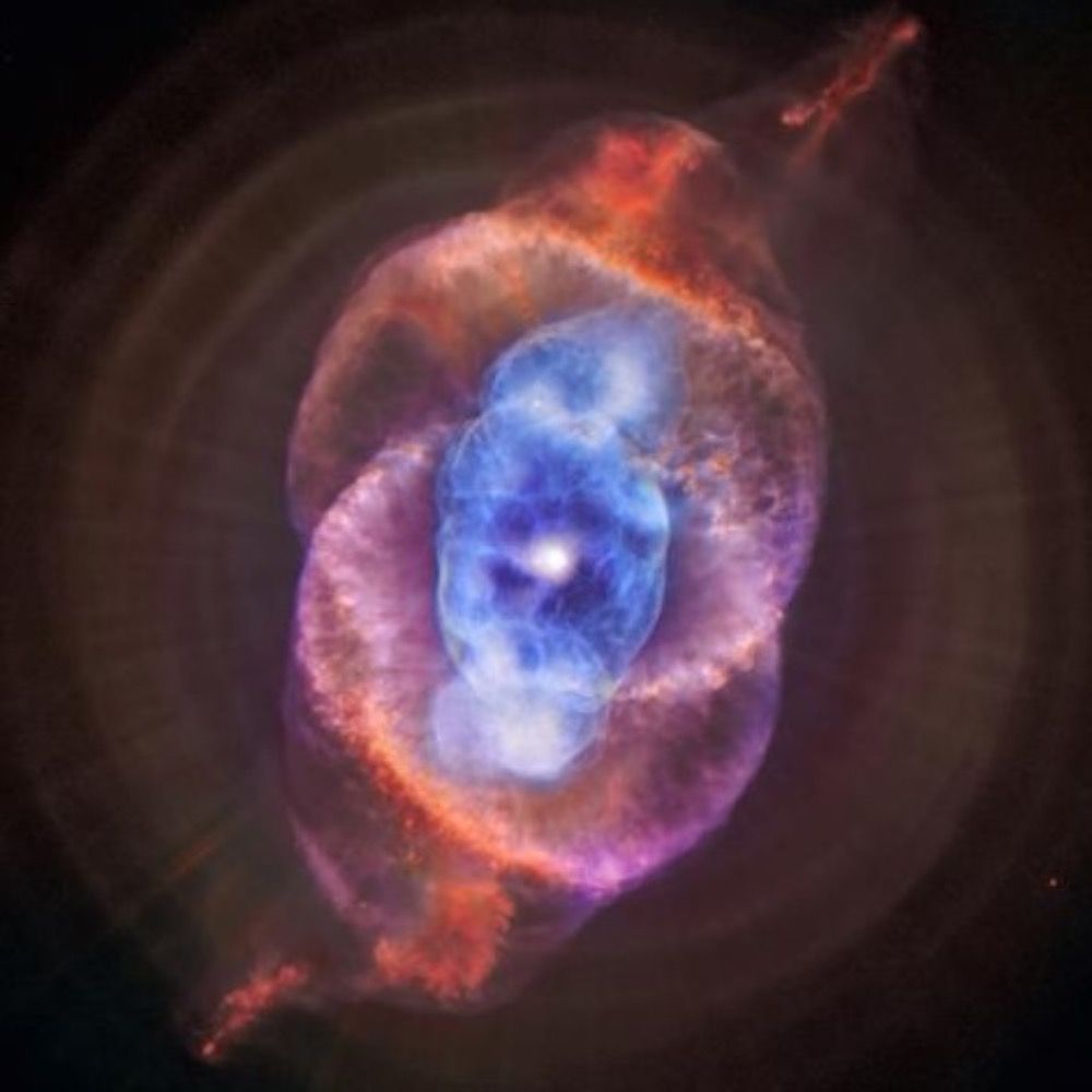 Monash Astrophysics