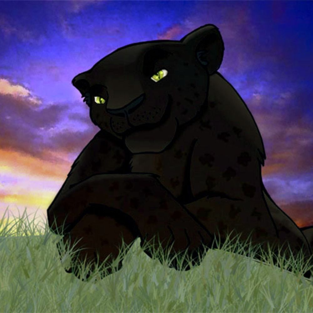Spotz Leopard
