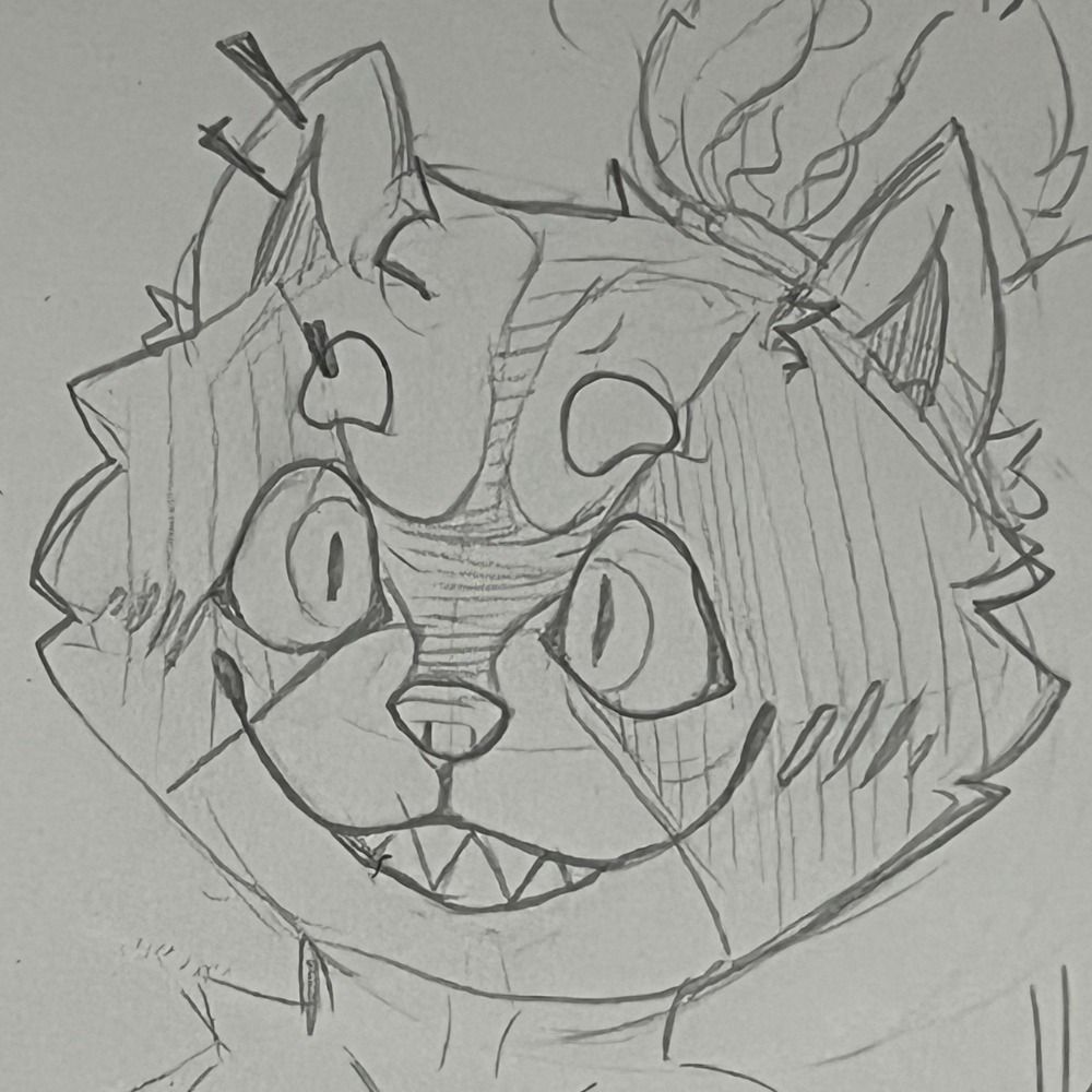 Flaye Raccoon
