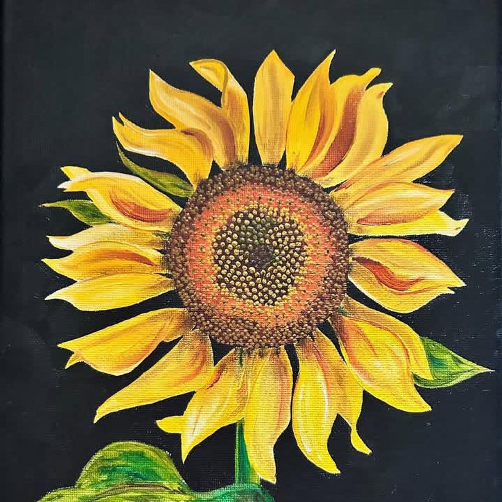 uniquetreasures338.bsky.social profile picture
