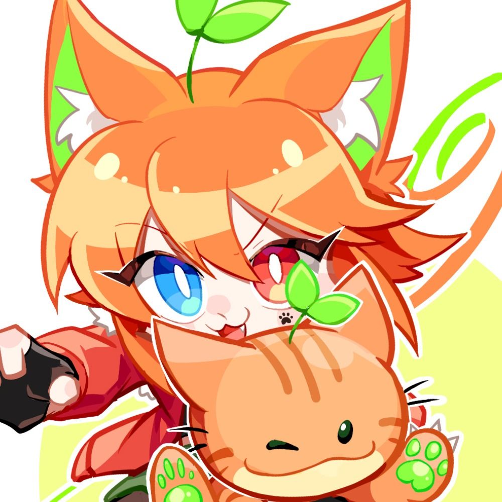 冬猫夏豆