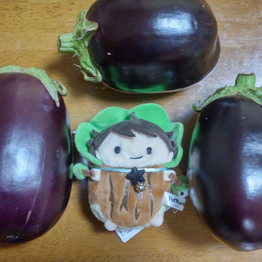 いちがつ