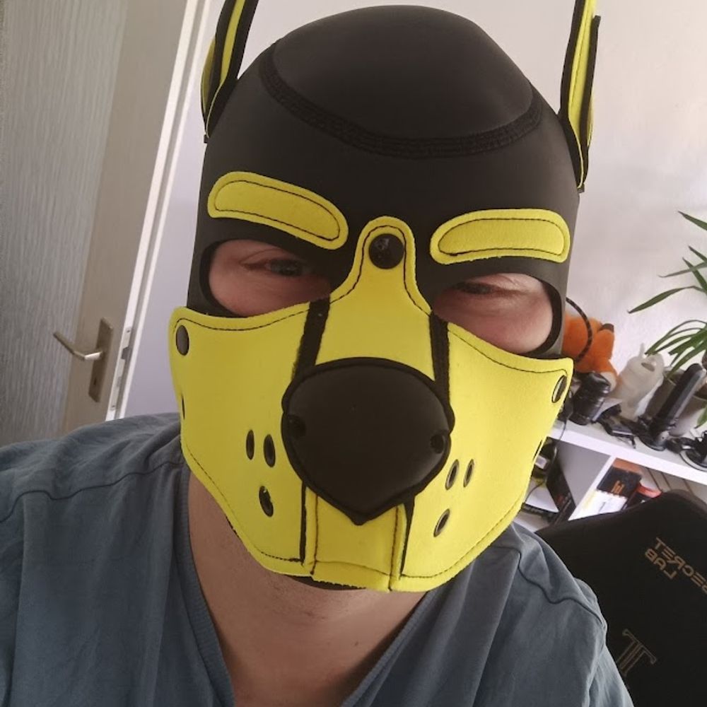 Pup Plexus