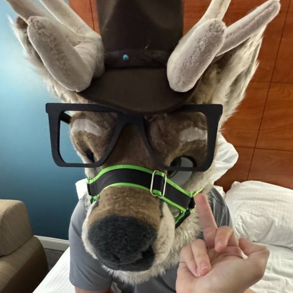 🦌Vix The Caribou🦌