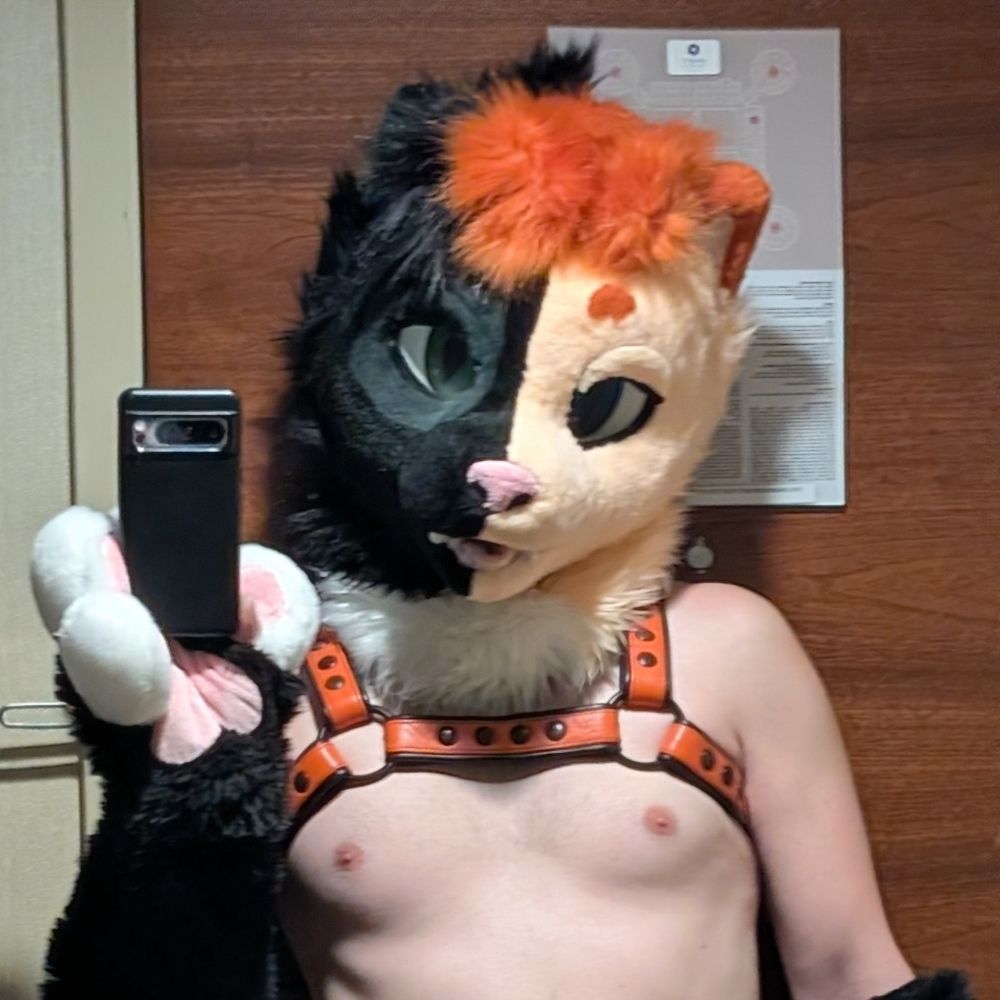 Beanis~ 🌵🐈 🔜 FWA