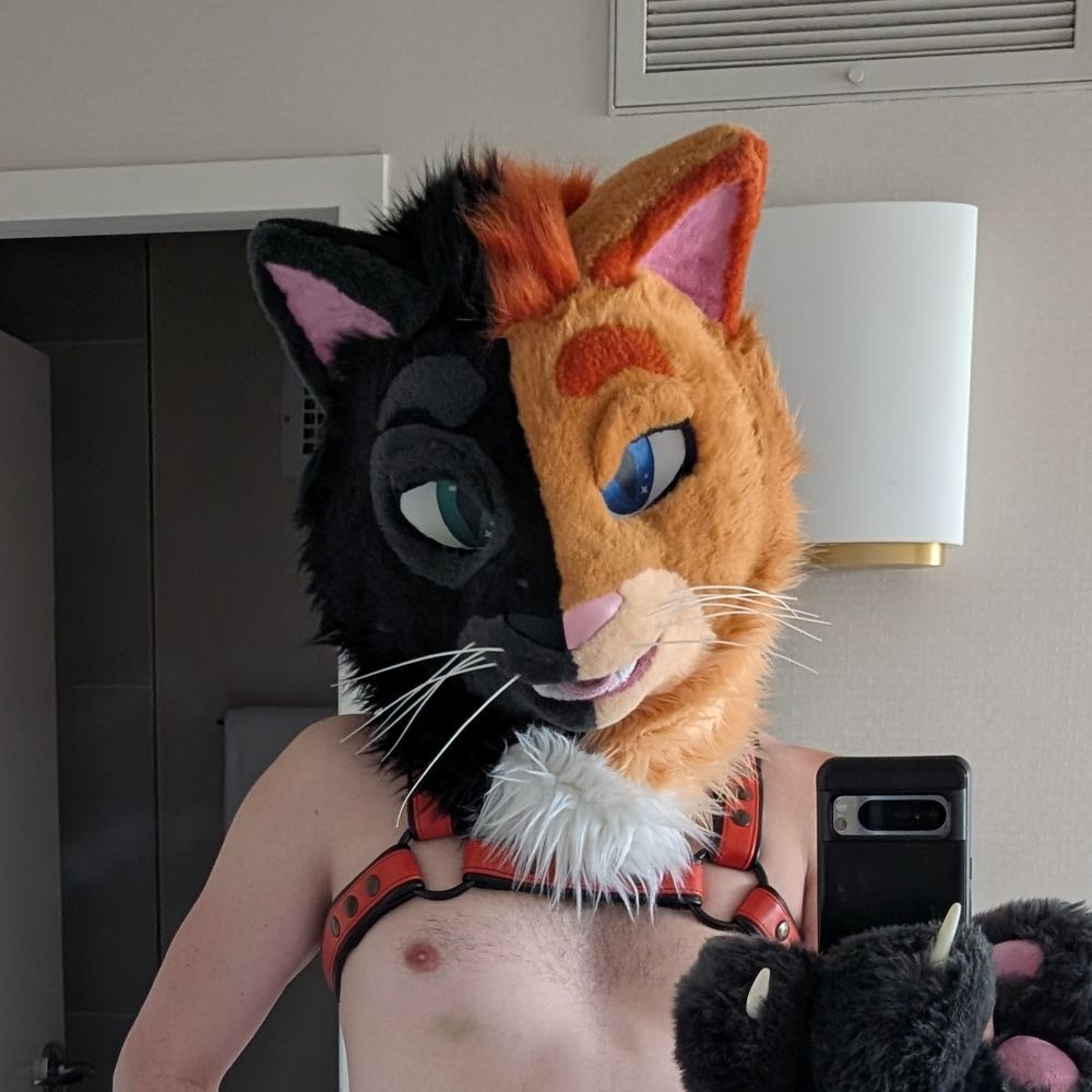 Beanis~ 🌵🐈